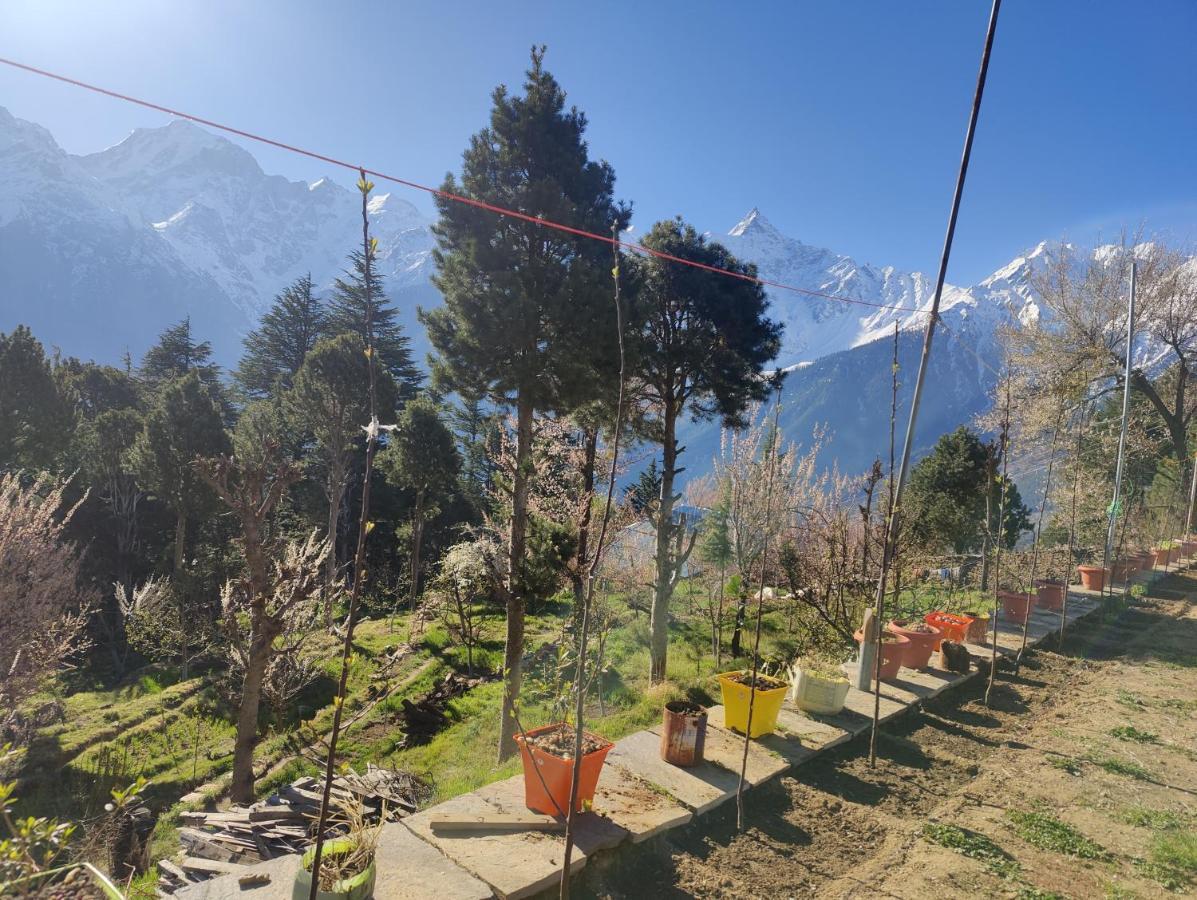 Silk Route Home Stay Кальпа Экстерьер фото