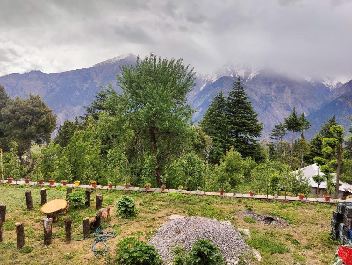 Silk Route Home Stay Кальпа Экстерьер фото